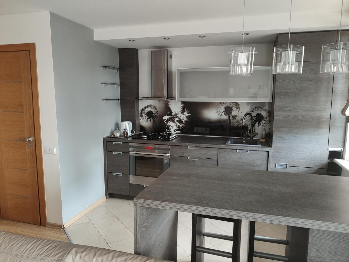 Nikoletos Apartamentai Panevėžys 外观 照片